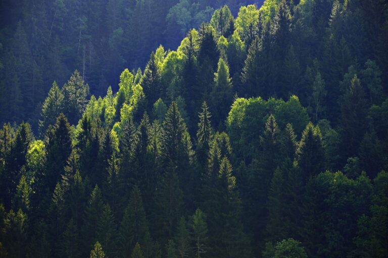 73. Wintertagung 2026