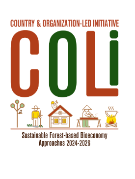 Initiative (COLI) on Sustainable Forest-based Bioeconomy Approaches, BMLUK