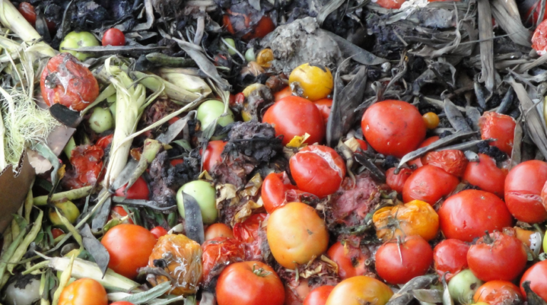 Circulareconomy | Western-balkans