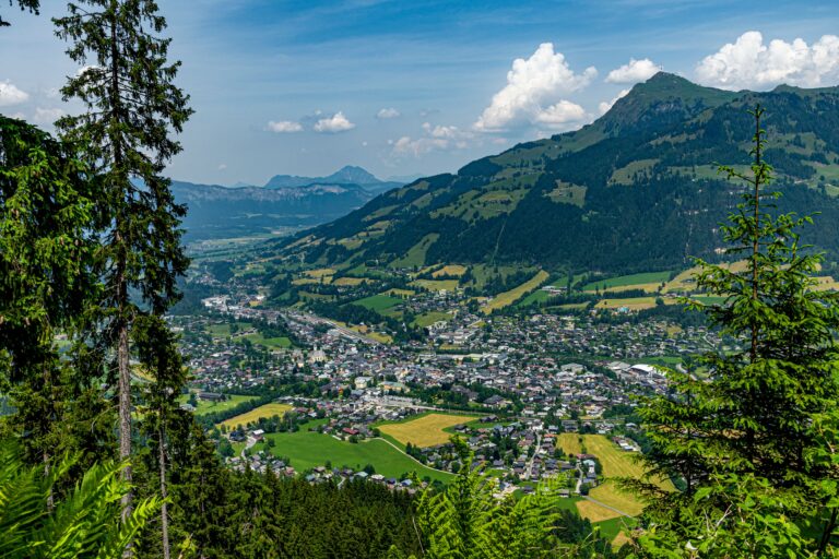 Umfrage: biobasierte Materialien in Tirol
