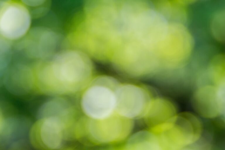 BIOENERGIE-ATLAS ÖSTERREICH 2023