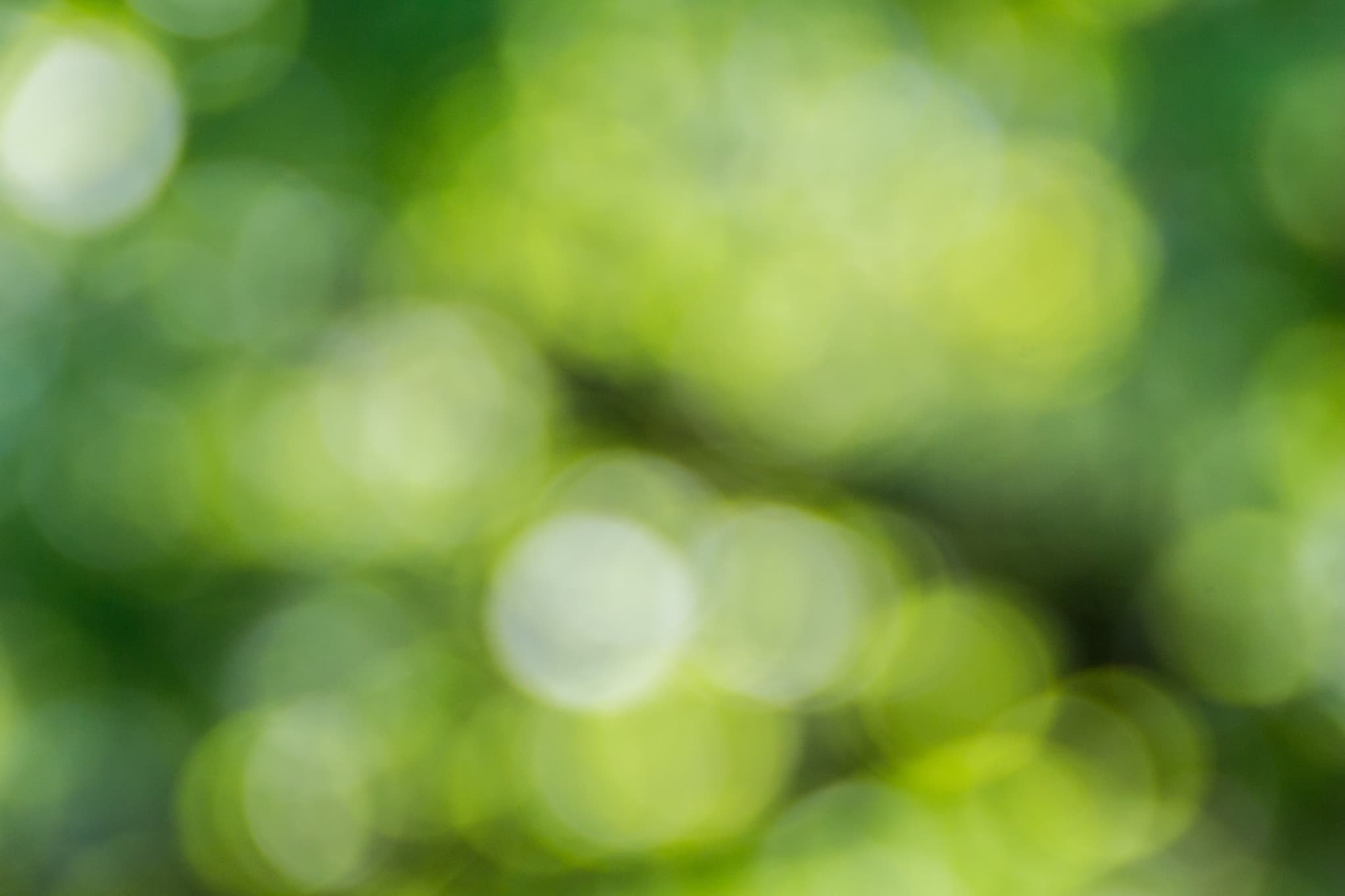 BIOENERGIE ATLAS 2023