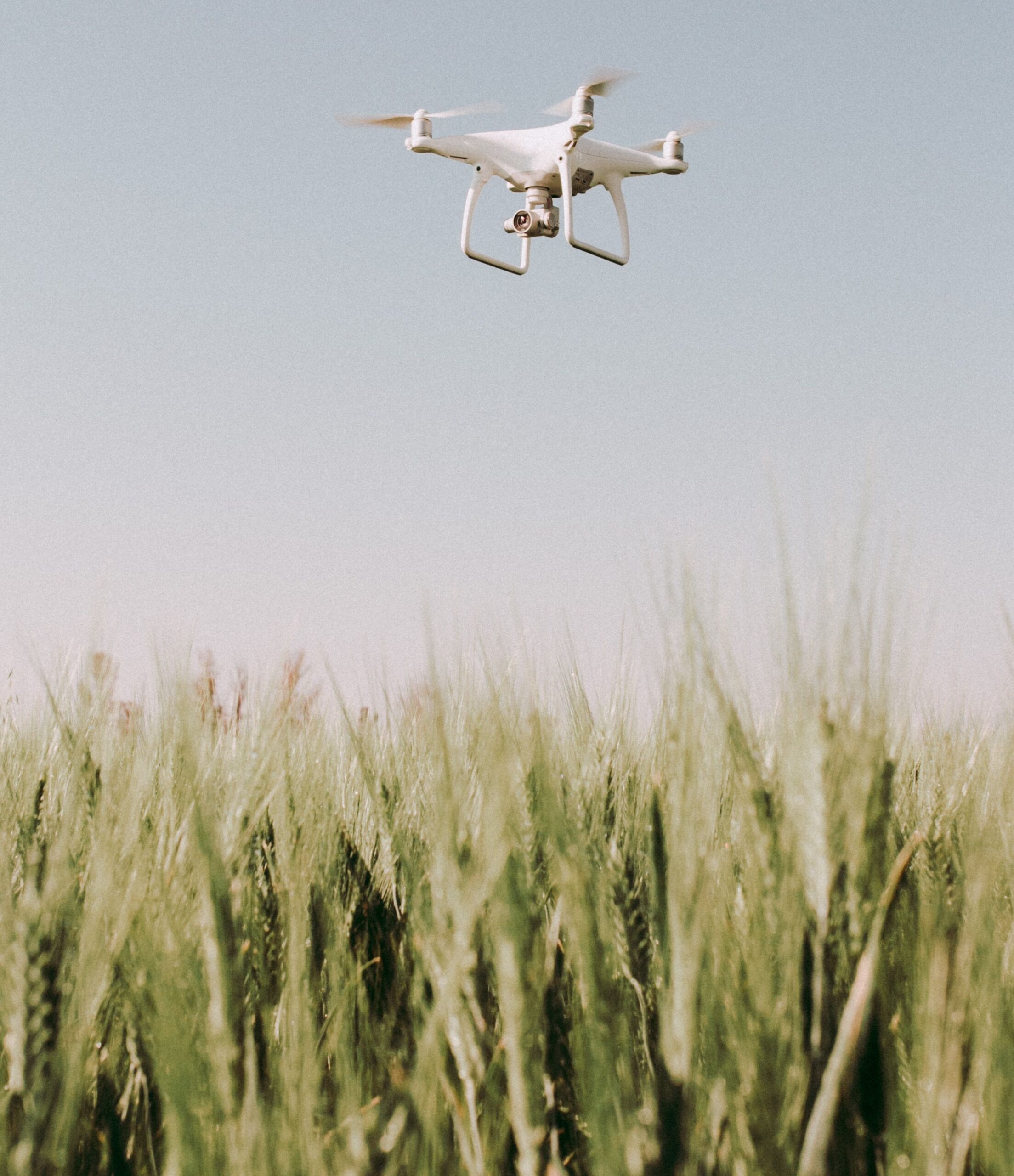 AI meets Agriculture
