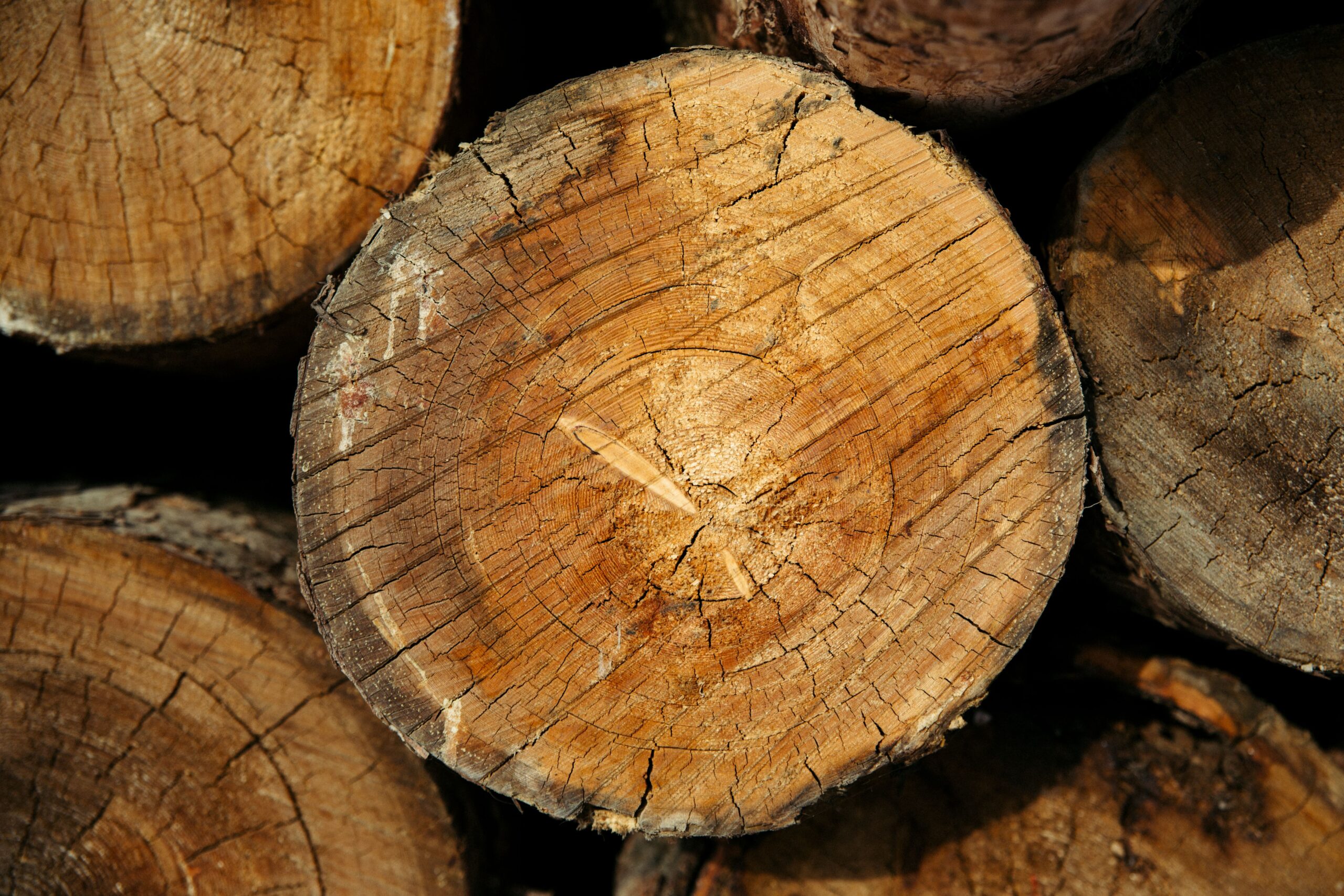 KI in der Holzbranche