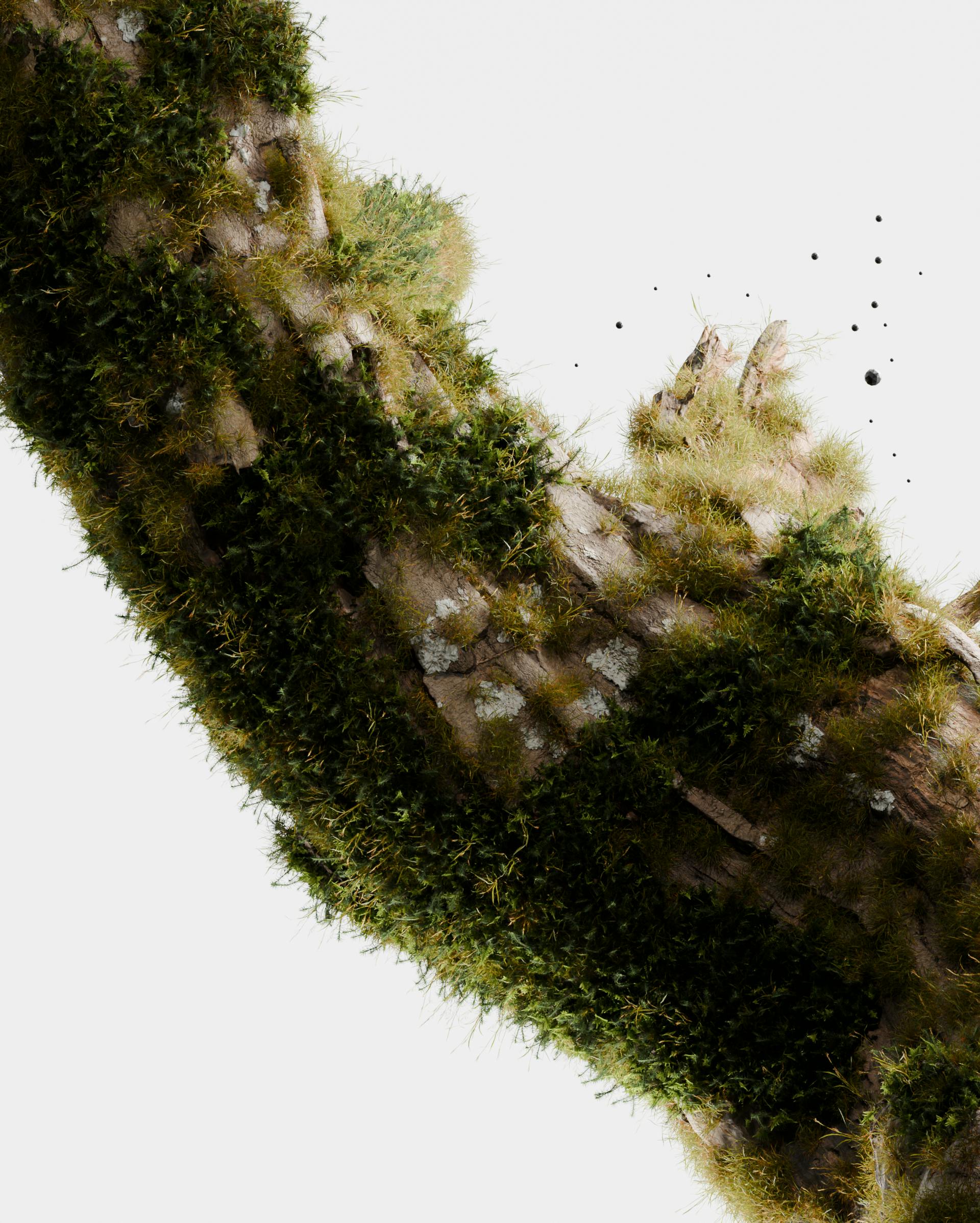 The bioeconomy: a beacon of hope